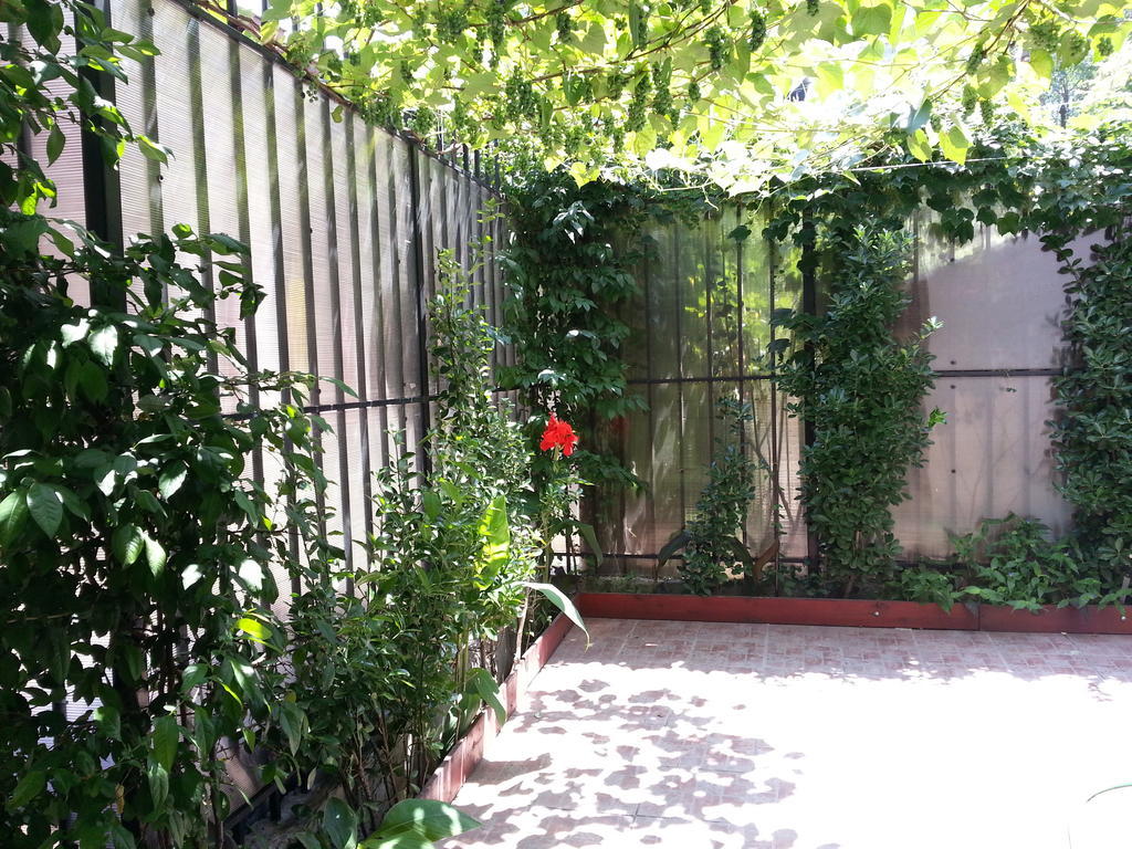 Banu Manta Apartments بوخارست المظهر الخارجي الصورة